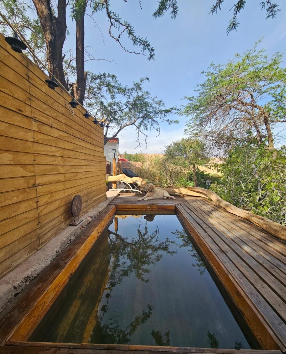 Anka Lodge Quitor Сан-Педро-де-Атакама Екстер'єр фото