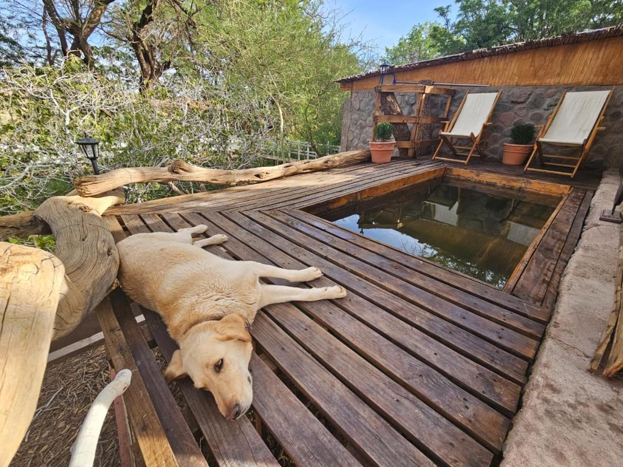 Anka Lodge Quitor Сан-Педро-де-Атакама Екстер'єр фото