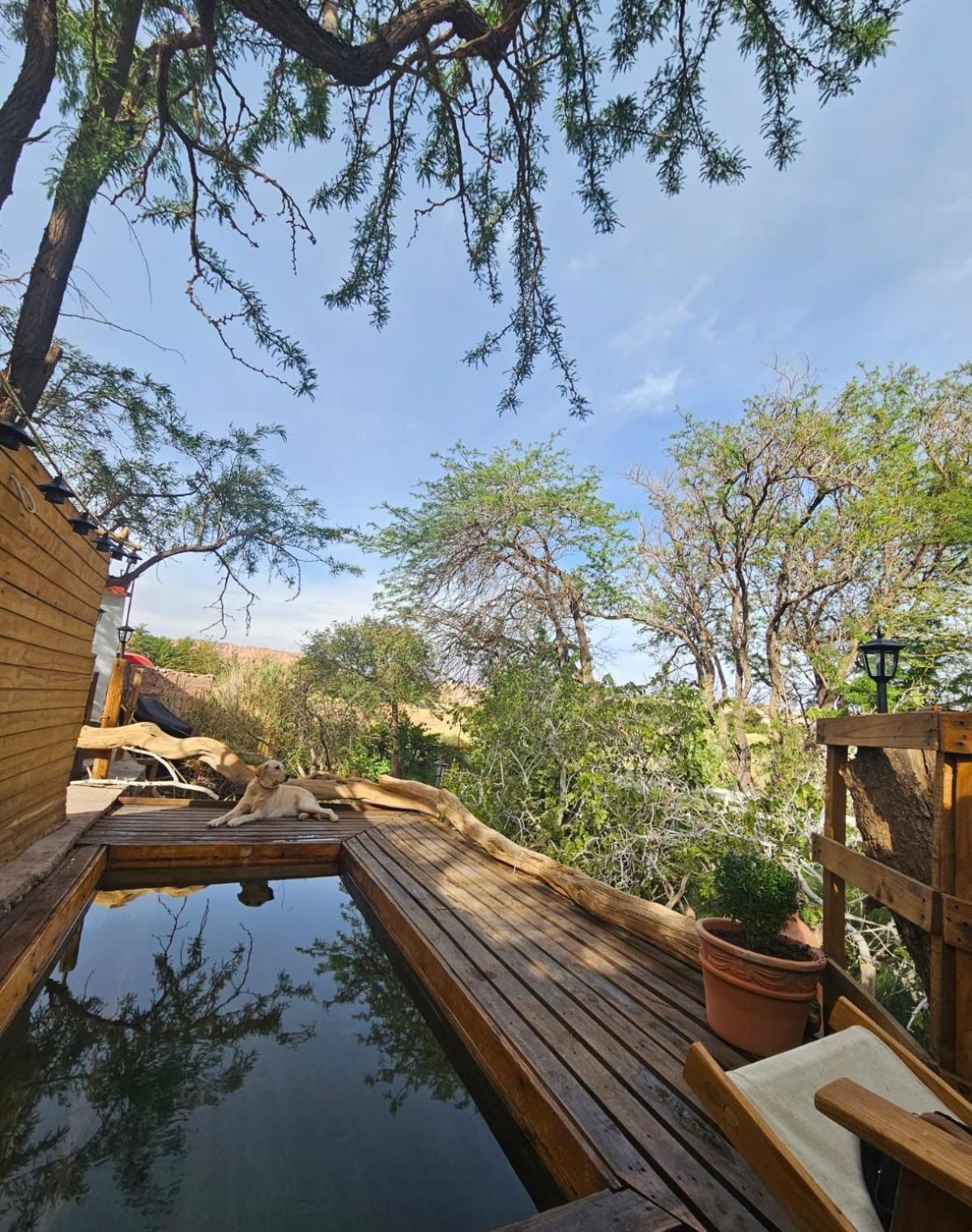 Anka Lodge Quitor Сан-Педро-де-Атакама Екстер'єр фото