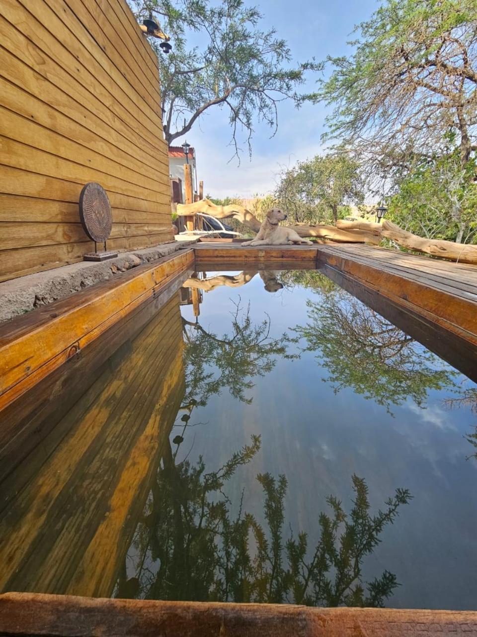 Anka Lodge Quitor Сан-Педро-де-Атакама Екстер'єр фото